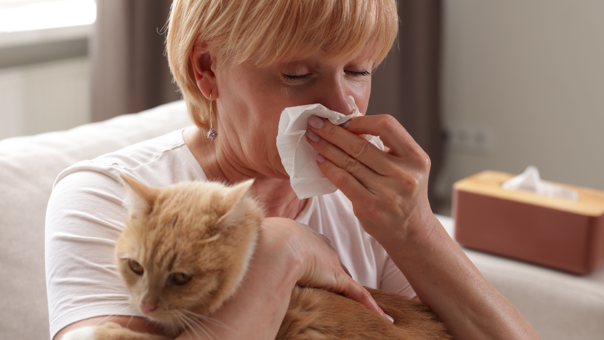 11 Cheap Habits Cat Owners With Allergies Say Made the Biggest Difference