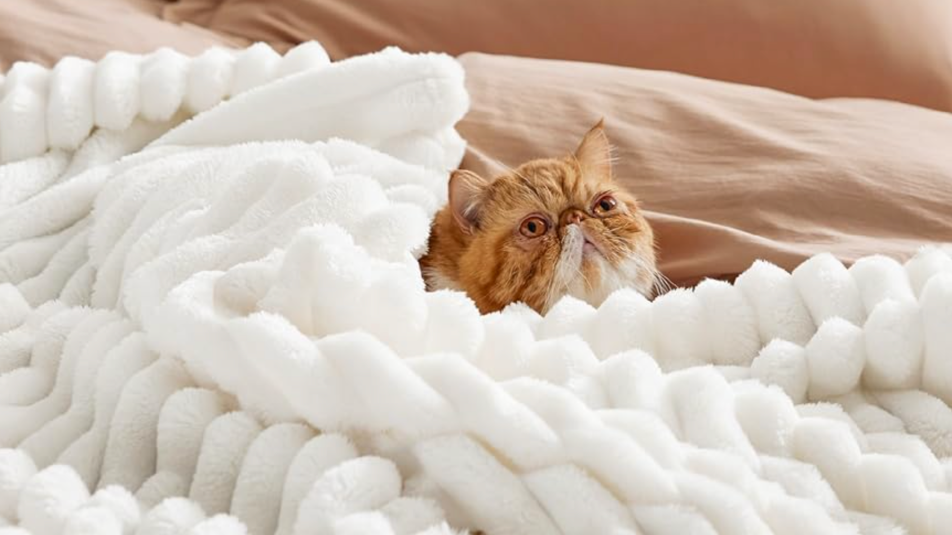 Bedsure Washable Throw Blanket