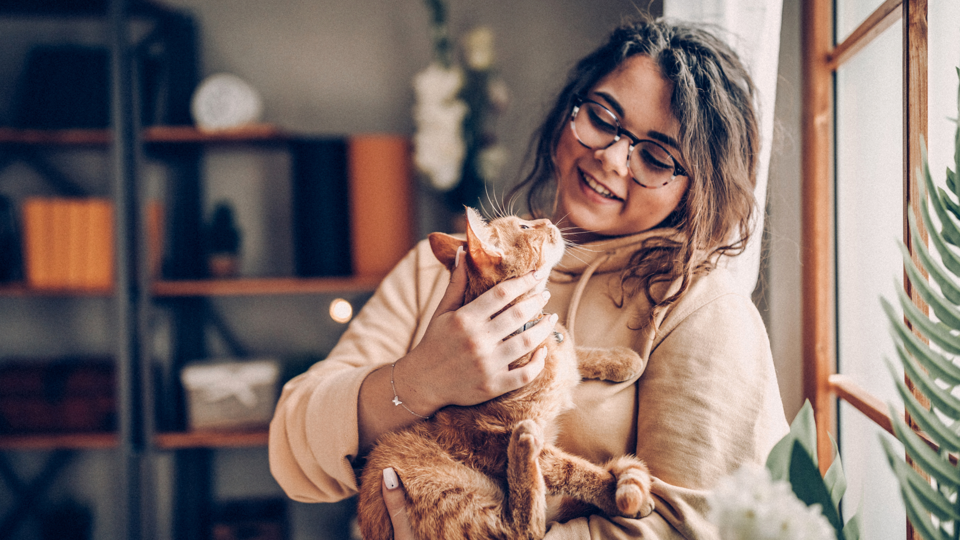 My Honest 30-Day Review of Pacagen as a Long-Time Cat Owner with Allergies