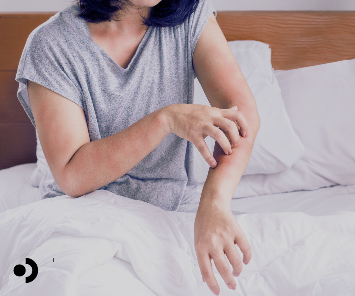 Dust Mite Allergies: What You Need To Know